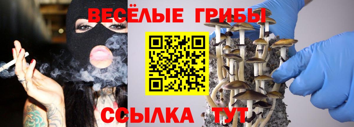 Псилоцибиновые грибы мицелий Лабытнанги